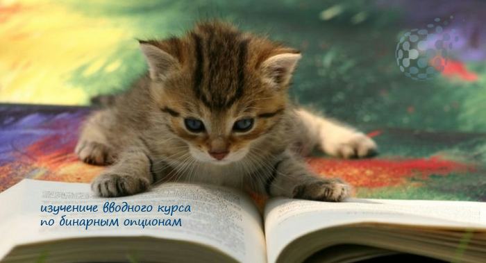 Бинарные опционы - инструкция